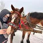 Relaksowka Roztoka (Limanowa)