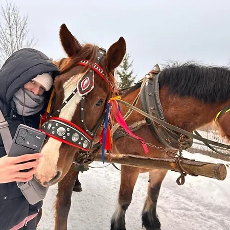 Relaksowka Roztoka (Limanowa)