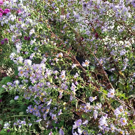 Appartement Relaksowka